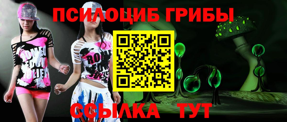 Псилоцибиновые грибы Psilocybine cubensis  Вход с VPN  Улан-Удэ 